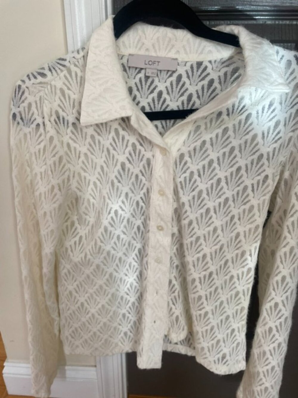Loft Lace Button down blouse